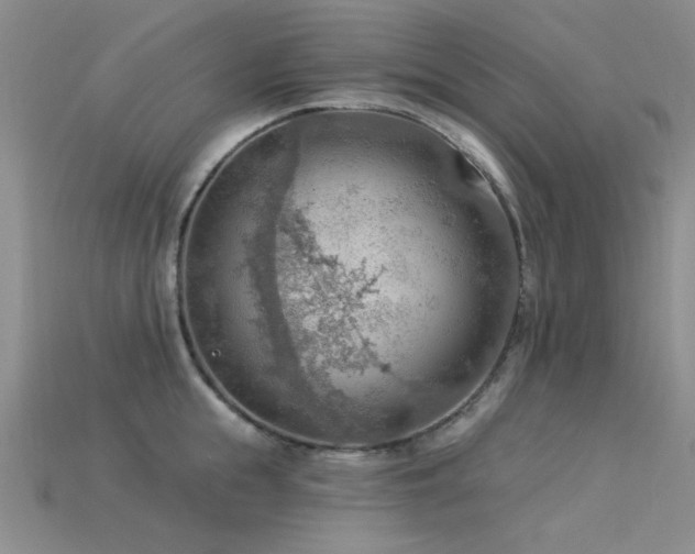 X0000115850855200911131550