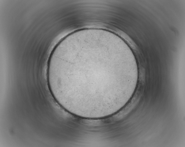 X0000115850856200911131550