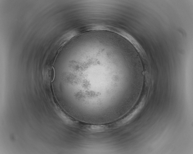 X0000115850857200911131550