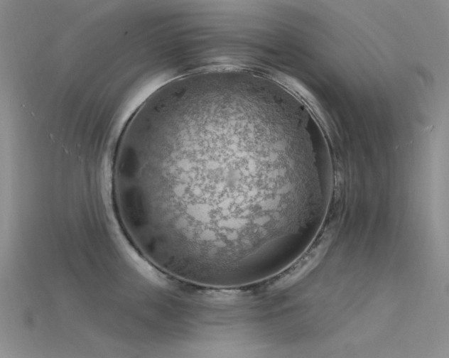 X0000115850859200911131550