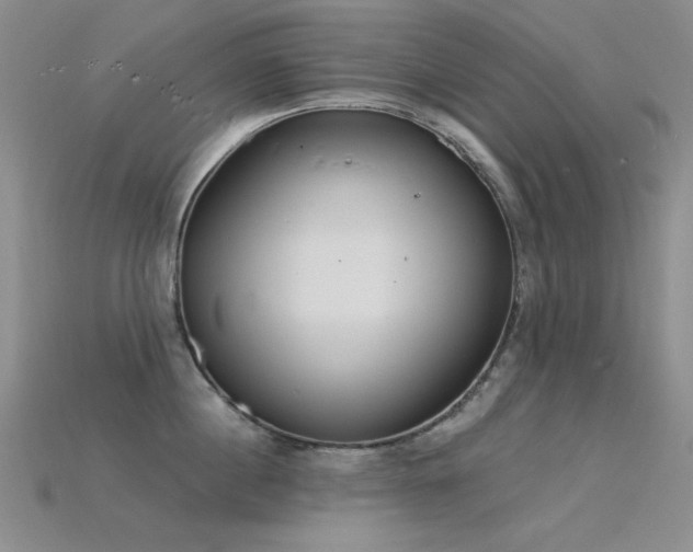 X0000115850860200911131550