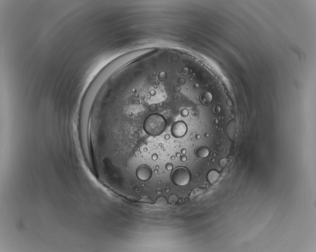 X0000115850863200911131550