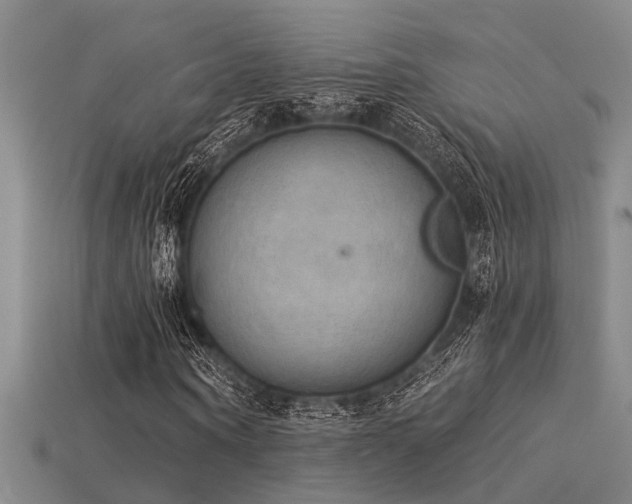 X0000115850866200911131549