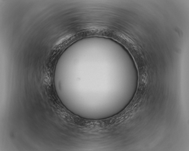 X0000115850869200911131549