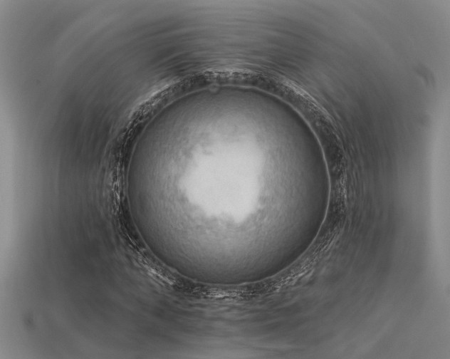 X0000115850870200911131549