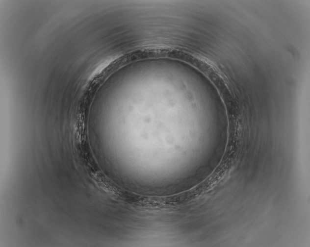 X0000115850871200911131549