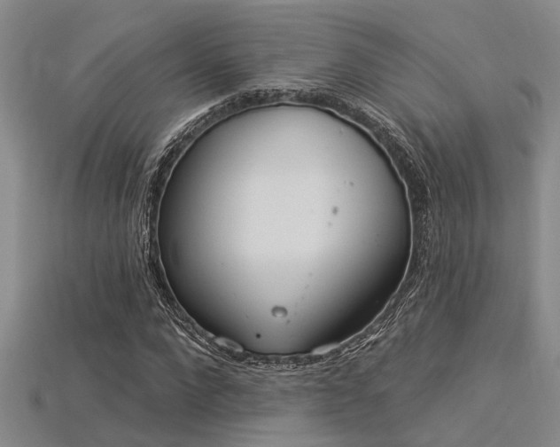 X0000115850872200911131549