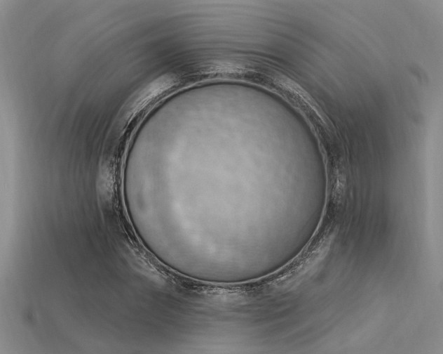 X0000115850874200911131549