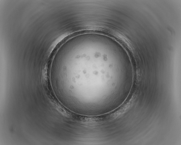 X0000115850875200911131549