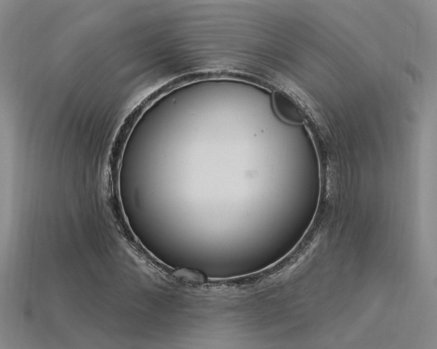 X0000115850876200911131549