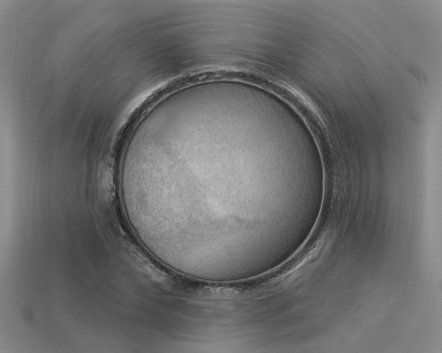 X0000115850878200911131549