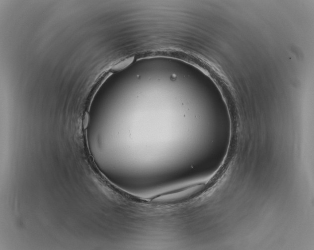 X0000115850881200911131549