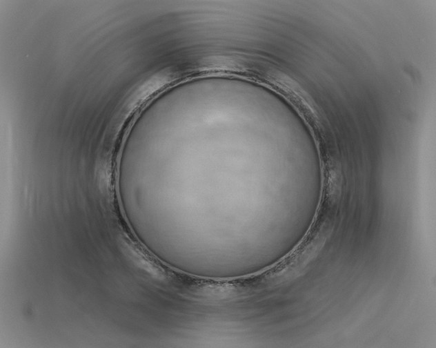 X0000115850882200911131549