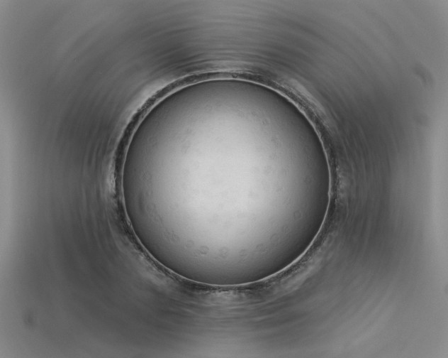X0000115850883200911131549