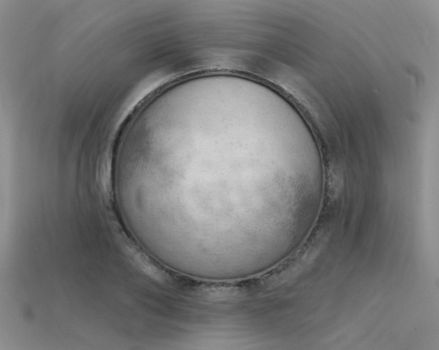 X0000115850886200911131549