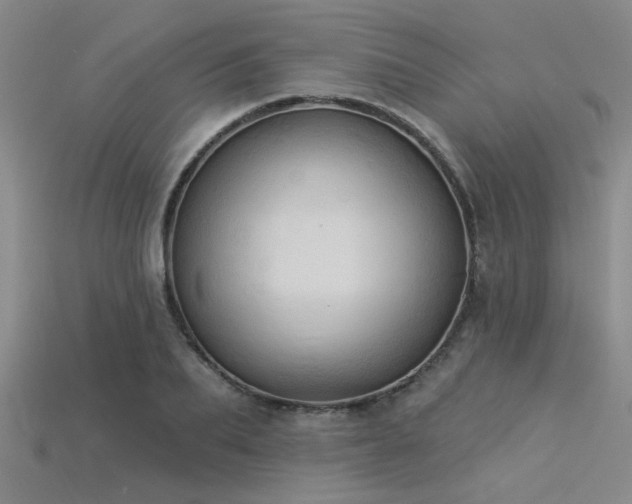 X0000115850887200911131549