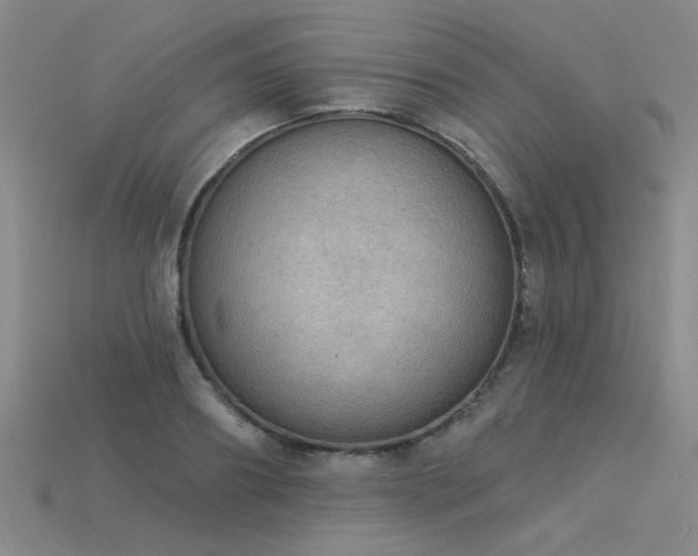 X0000115850890200911131549