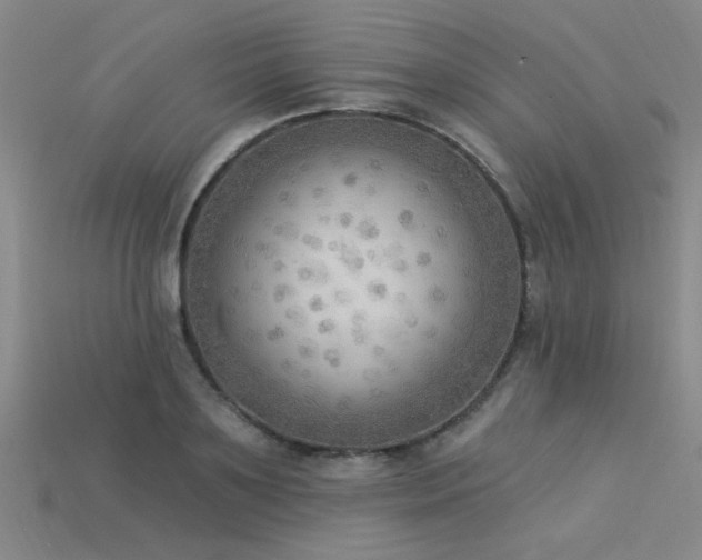X0000115850891200911131549