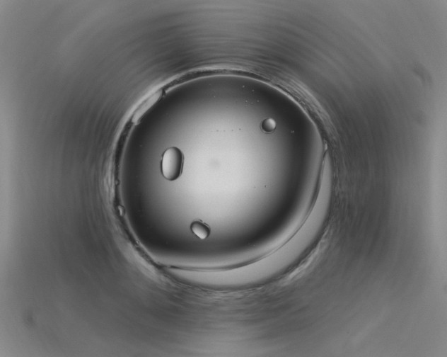 X0000115850892200911131549