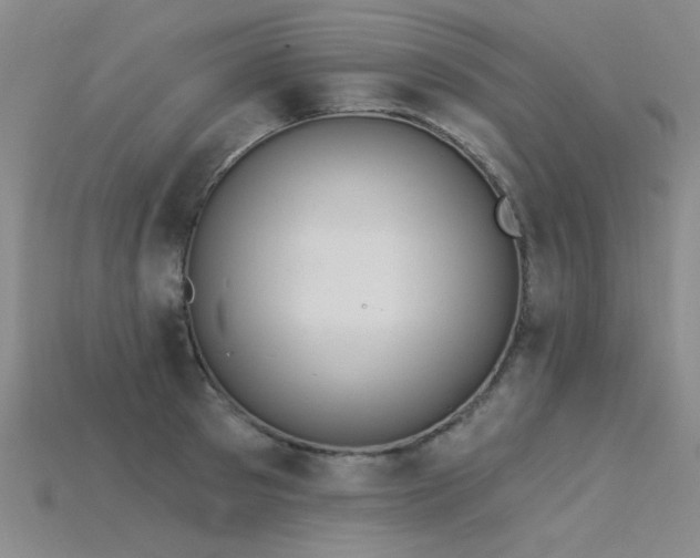 X0000115850897200911131549