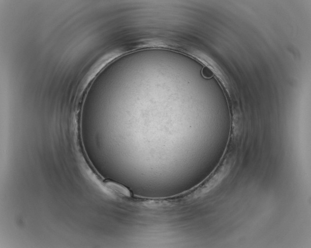 X0000115850906200911131549