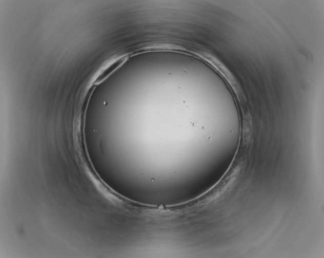 X0000115850909200911131548