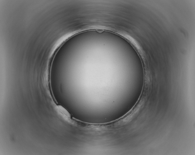 X0000115850910200911131548
