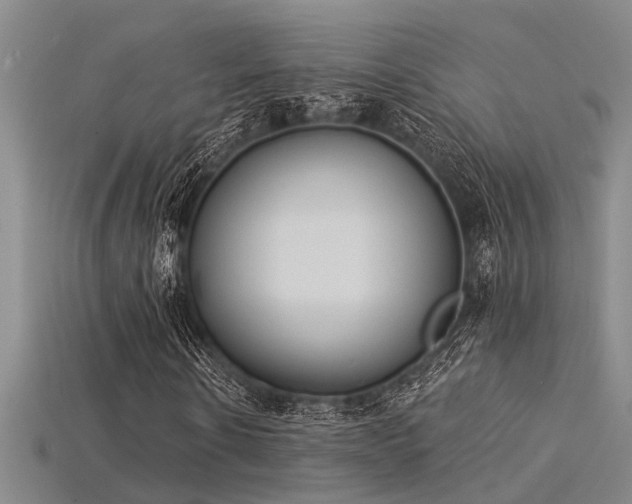 X0000115850914200911131548