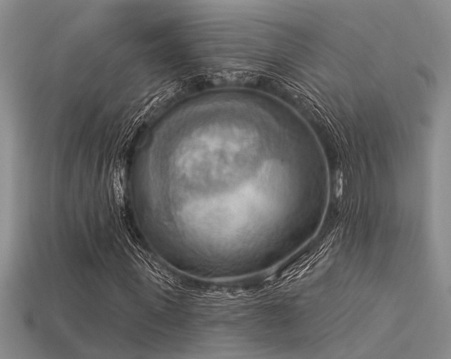 X0000115850915200911131548
