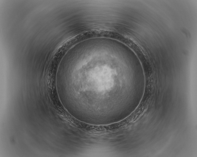 X0000115850919200911131548