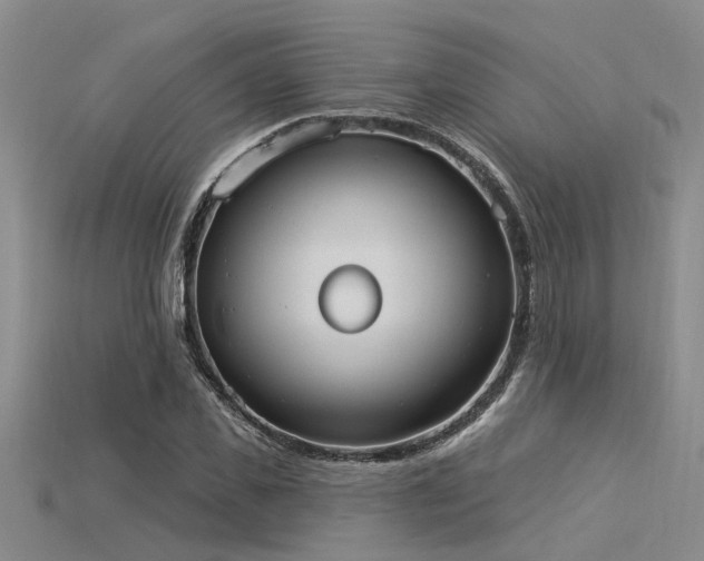 X0000115850925200911131548