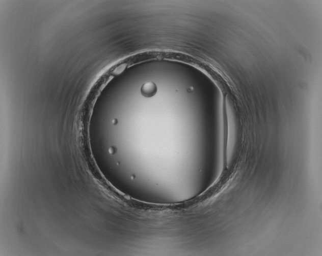 X0000115850926200911131548