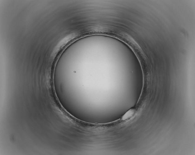 X0000115850930200911131548