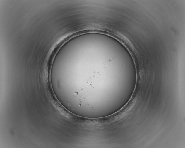 X0000115850931200911131548