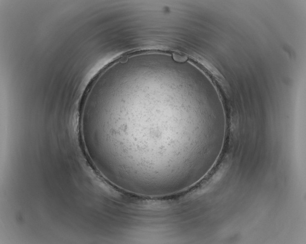 X0000115850933200911131548
