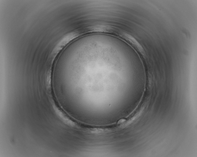 X0000115850938200911131548