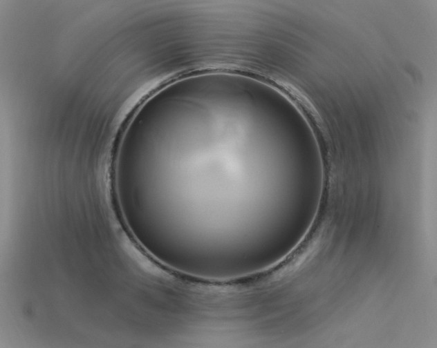 X0000115850941200911131548