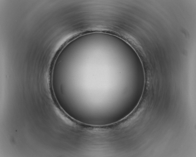 X0000115850942200911131548