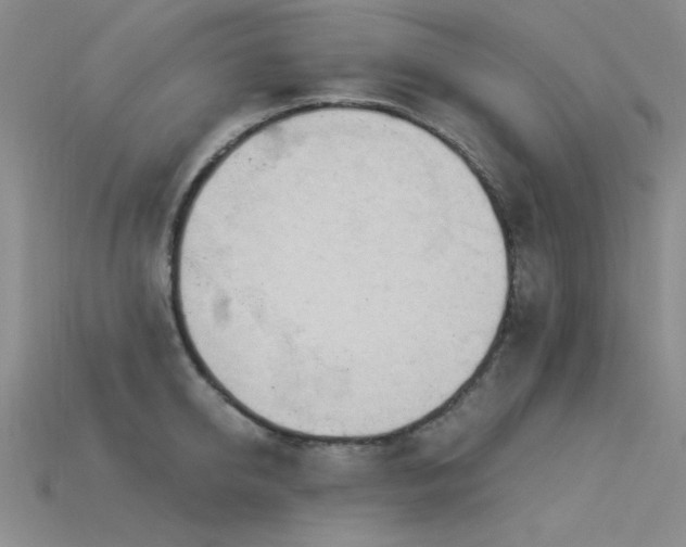 X0000115850950200911131548