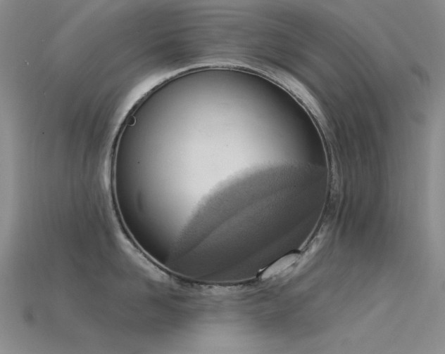 X0000115850958200911131548