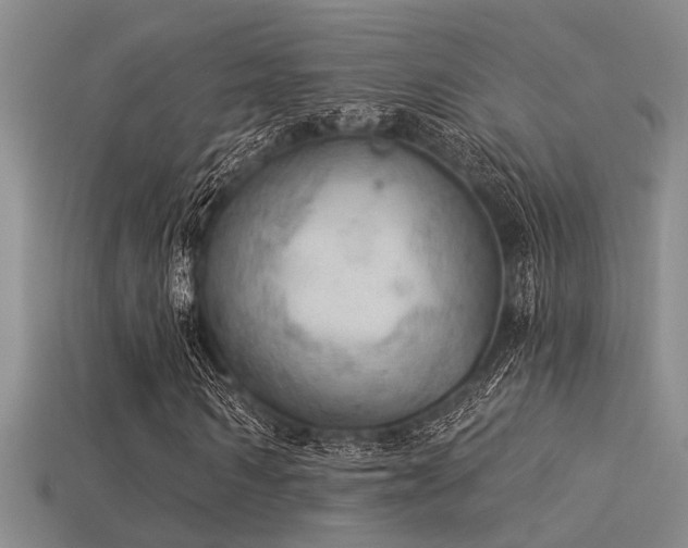 X0000115850962200911131548