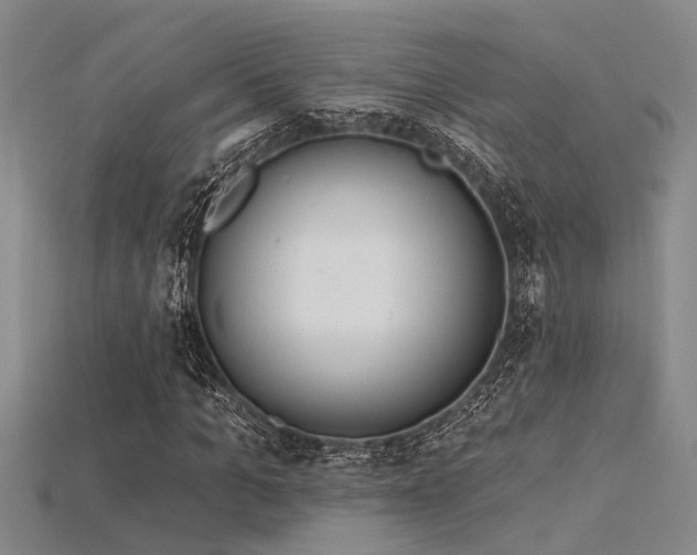 X0000115850965200911131548