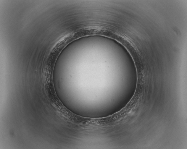 X0000115850967200911131548