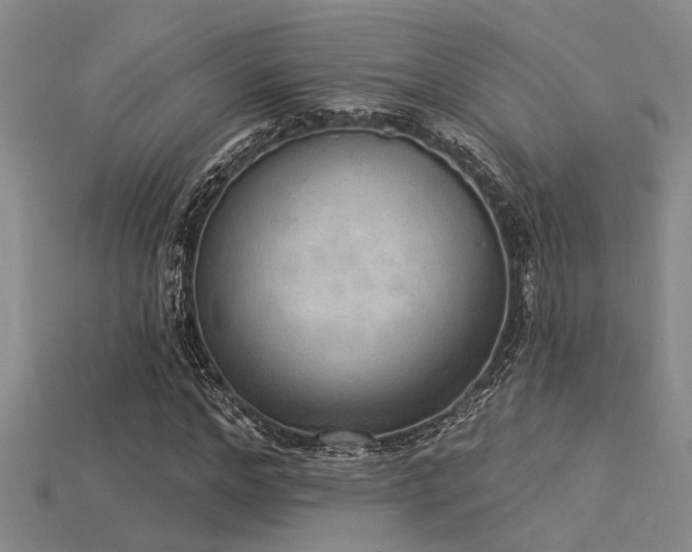 X0000115850968200911131548