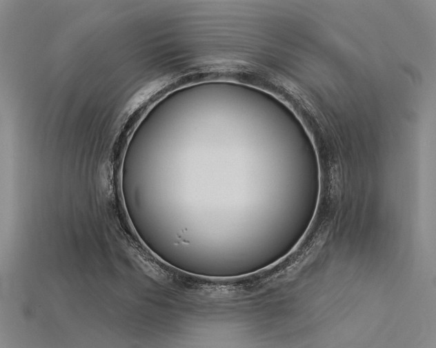 X0000115850970200911131548
