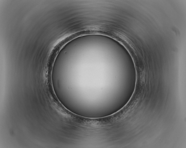 X0000115850971200911131548