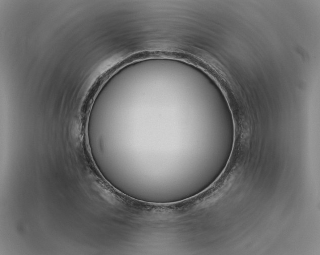 X0000115850974200911131548