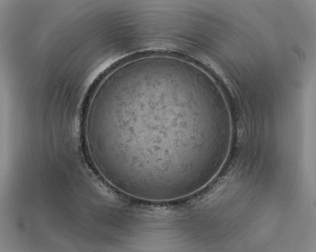 X0000115850975200911131548