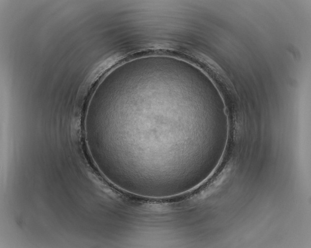 X0000115850977200911131548