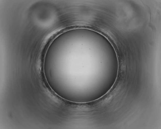 X0000115850979200911131548
